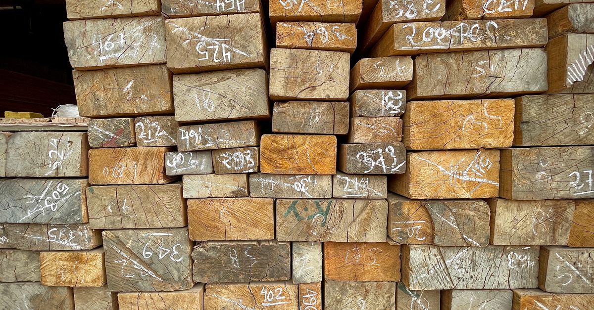 Planches de châtaignier débitées sur dosse avec le veinage fin et la teinte dorée typique de l'essence