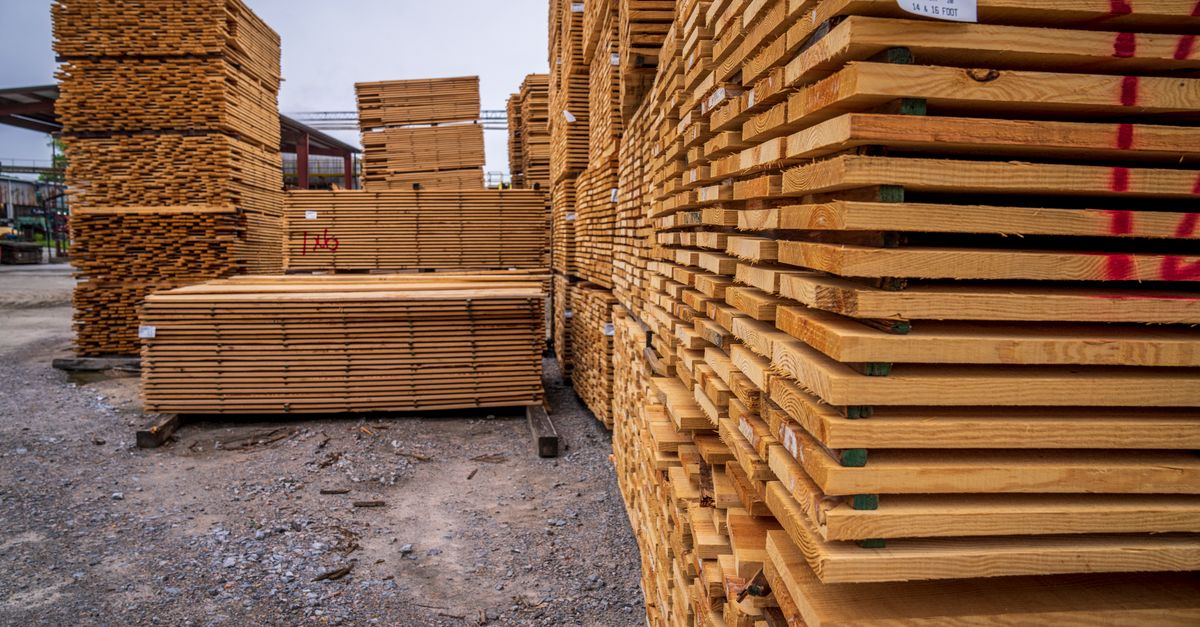 Planches de différentes essences de bois empilées dans un atelier