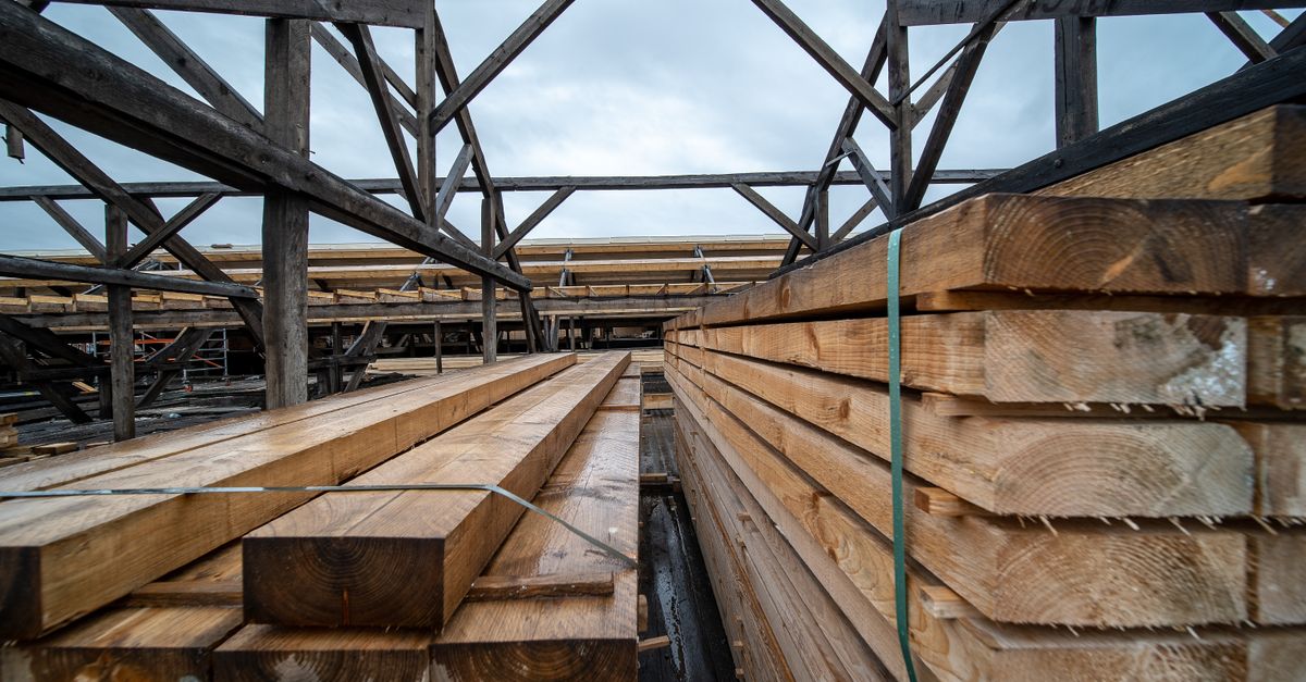 Charpente en bois de douglas brut avec les nervures rougeâtres typiques de l'essence, prise dans une maison en construction