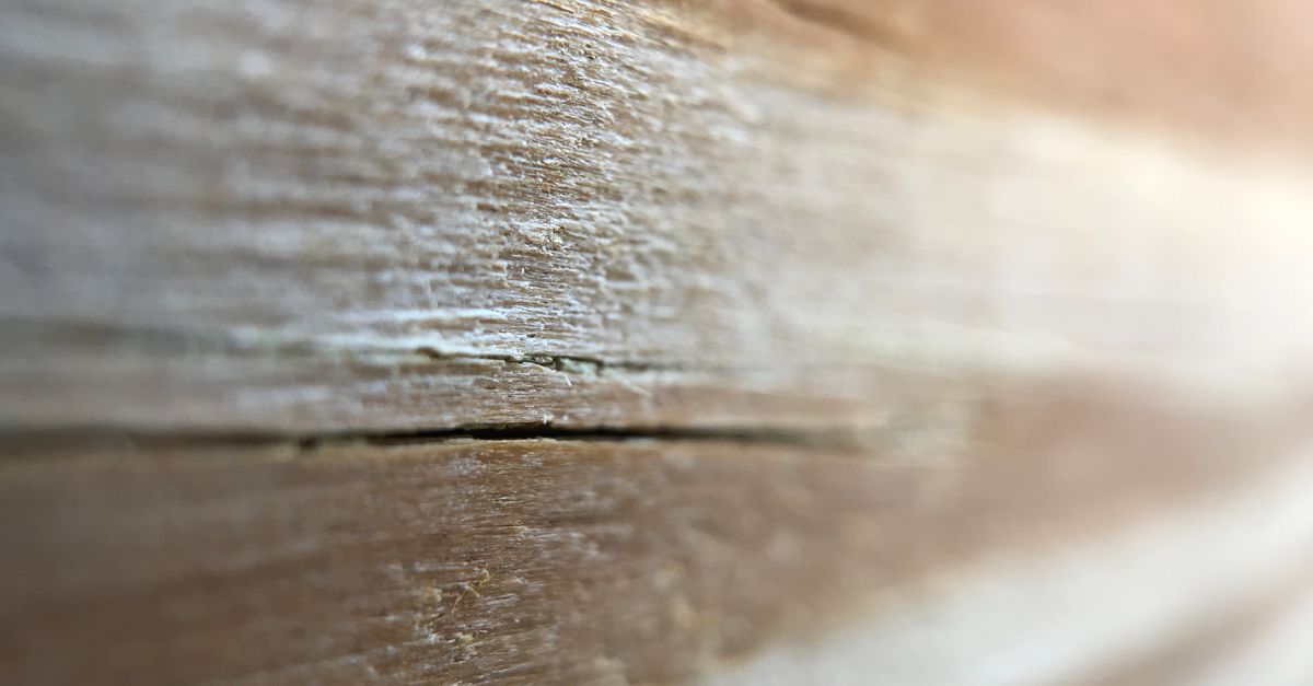 Fiche technique de bois avec tableau de propriétés physiques, densité et dureté annotés à la main