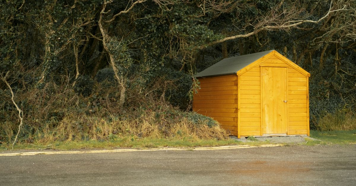 Abri de jardin en bois naturel avec toit en double pente dans un jardin verdoyant