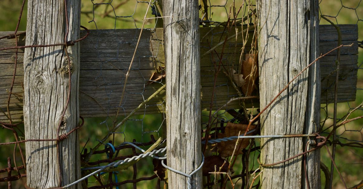 Clôture en lames de bois avec poteaux en bois traité dans un jardin