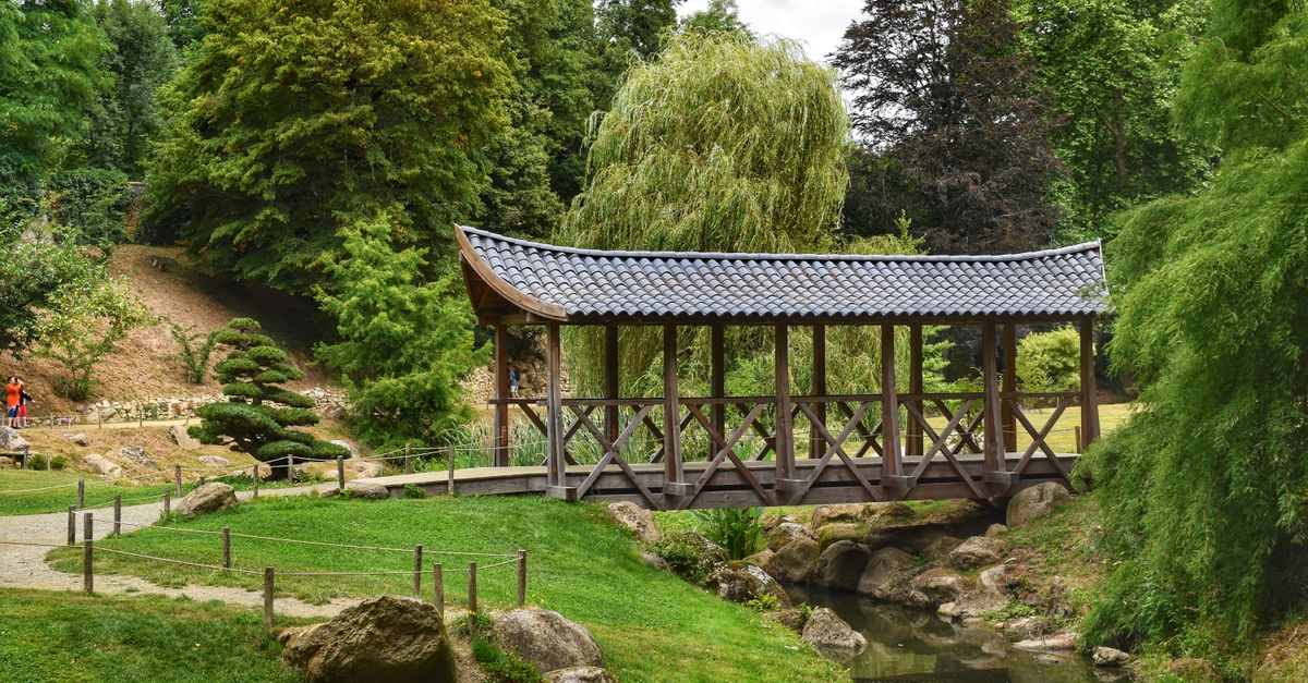 Petite passerelle en bois arquée au-dessus d'un bassin de jardin