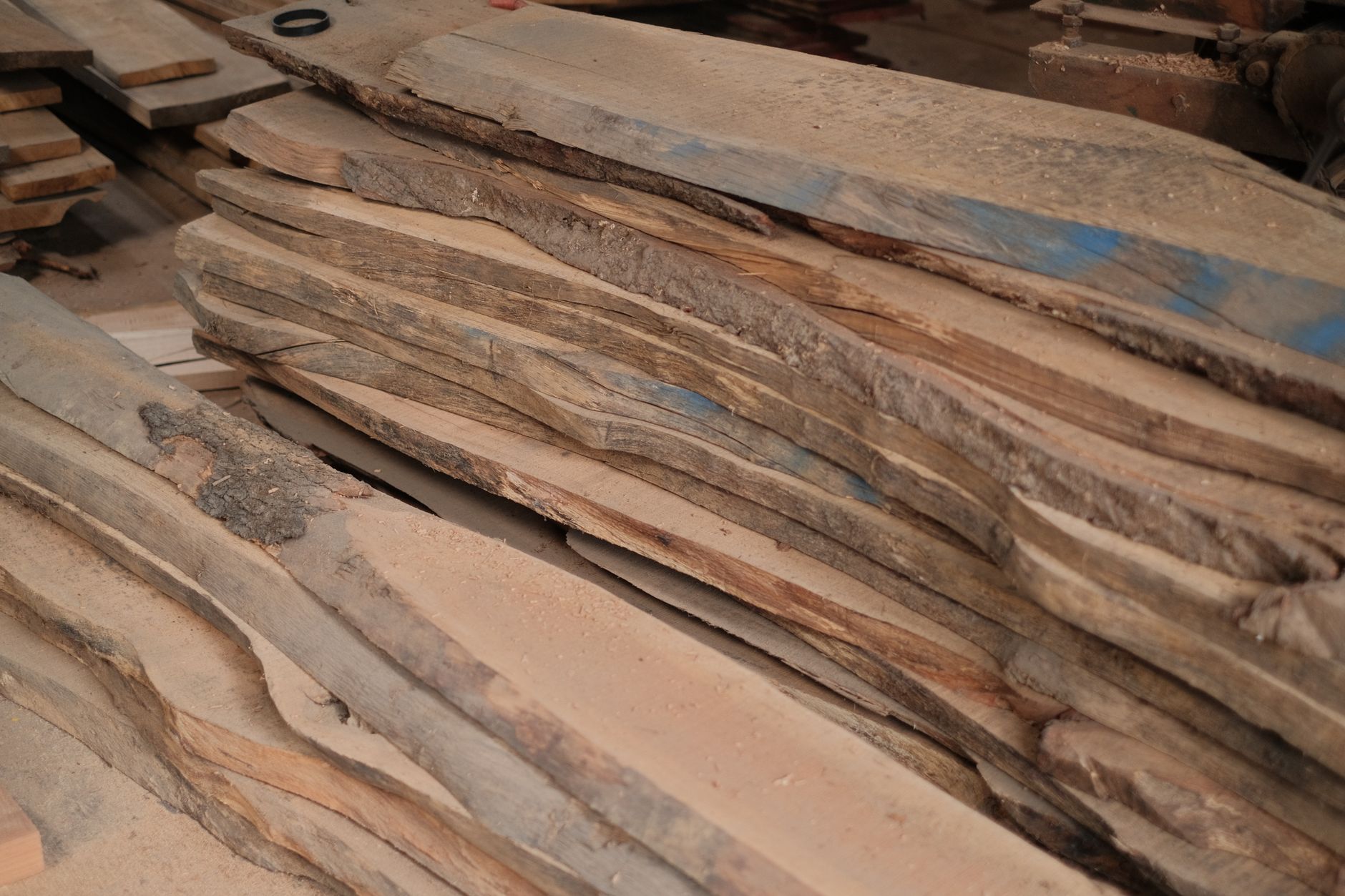 Étagère en bois brut non traité avec grain naturel et légères fissures de séchage