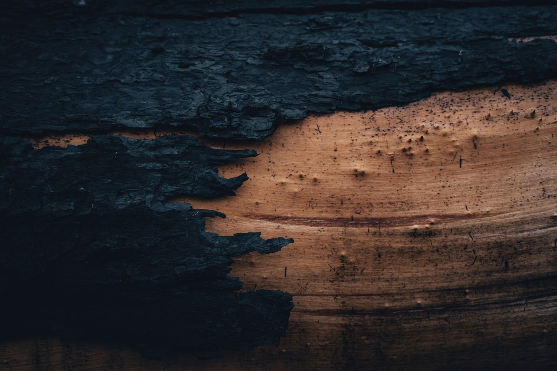 Planche de bois brûlée au chalumeau façon Shou Sugi Ban avec texture charbonneuse noire
